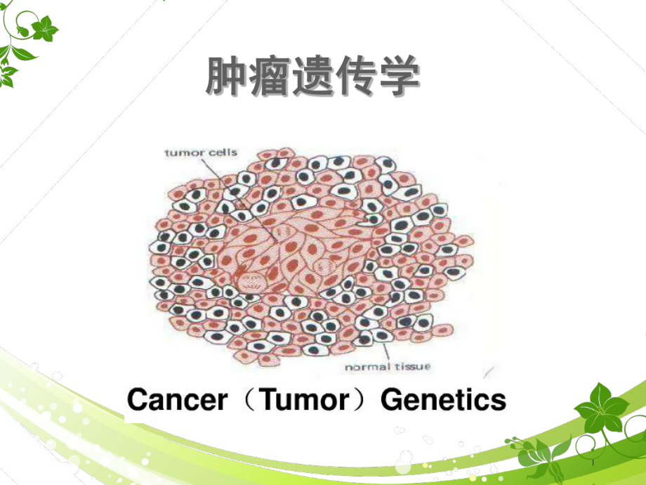 医学遗传学-肿瘤遗传学-课件.ppt_第1页