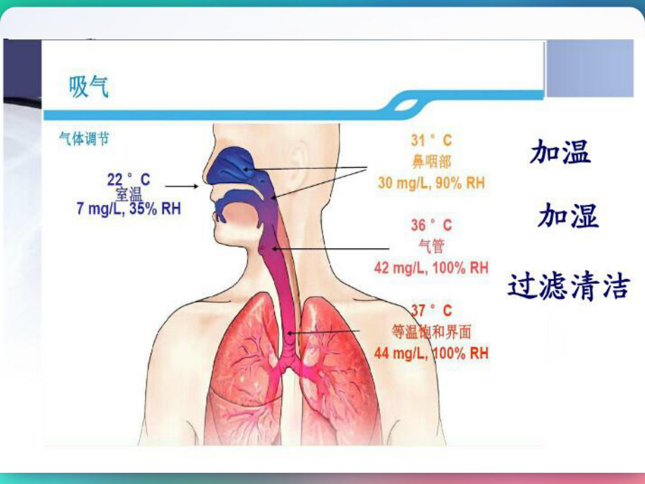 人工气道湿化-课件.pptx_第3页