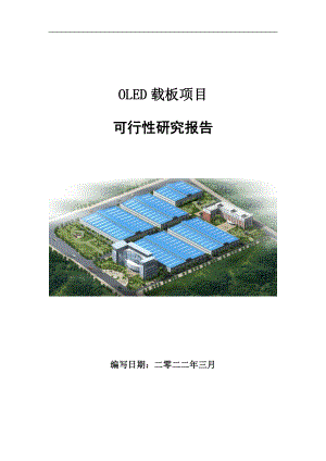 OLED载板项目可行性研究报告范文.doc