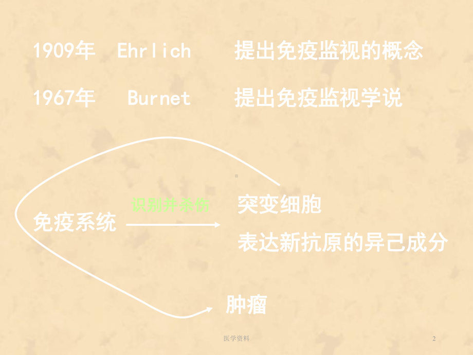 医学免疫学-肿瘤免疫-课件.ppt_第2页