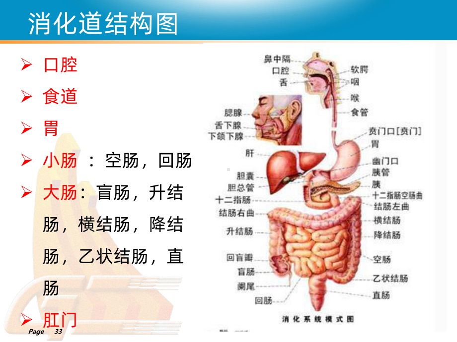 人工肛的护理副本课件.ppt_第3页