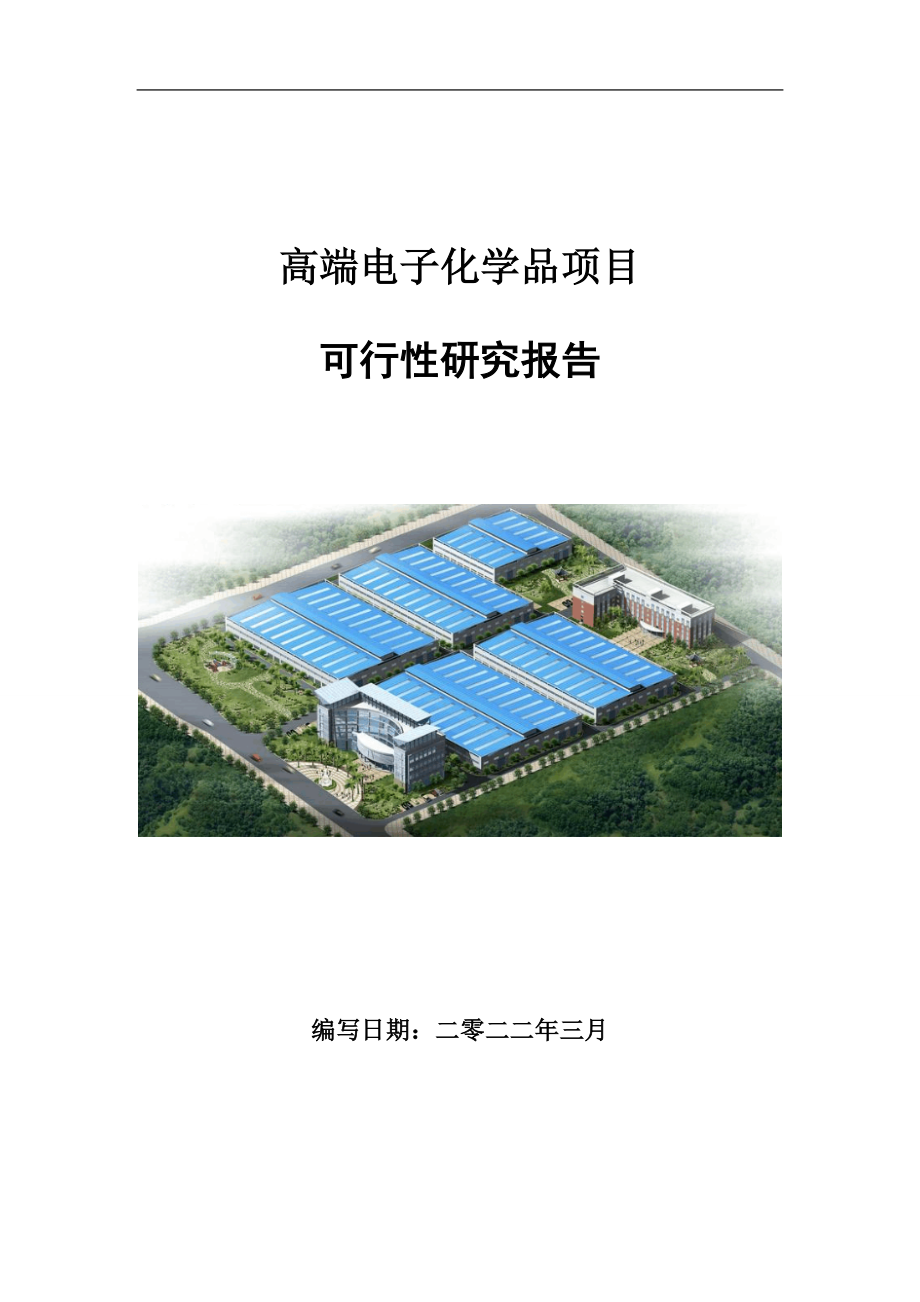 高端电子化学品项目可行性研究报告范文.doc_第1页