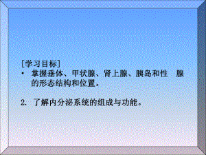 人体解剖学内分泌系统-课件.ppt