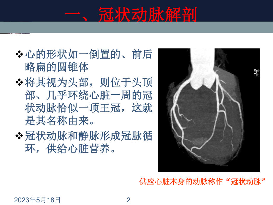 冠状动脉粥样硬化性心脏病的临床表现、诊断与治疗课件.ppt_第2页