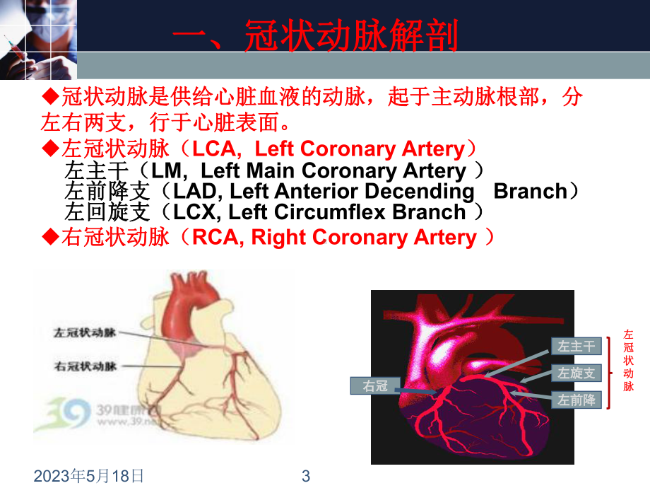 冠状动脉粥样硬化性心脏病的临床表现、诊断与治疗课件.ppt_第3页