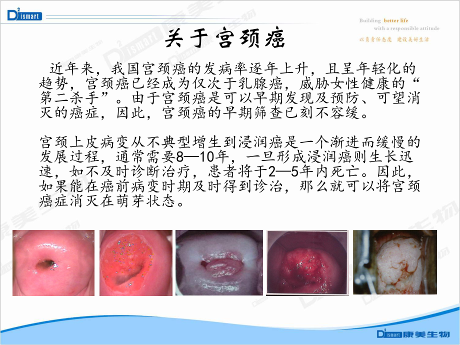 人乳头状瘤病毒感染与宫颈癌课件.ppt_第3页