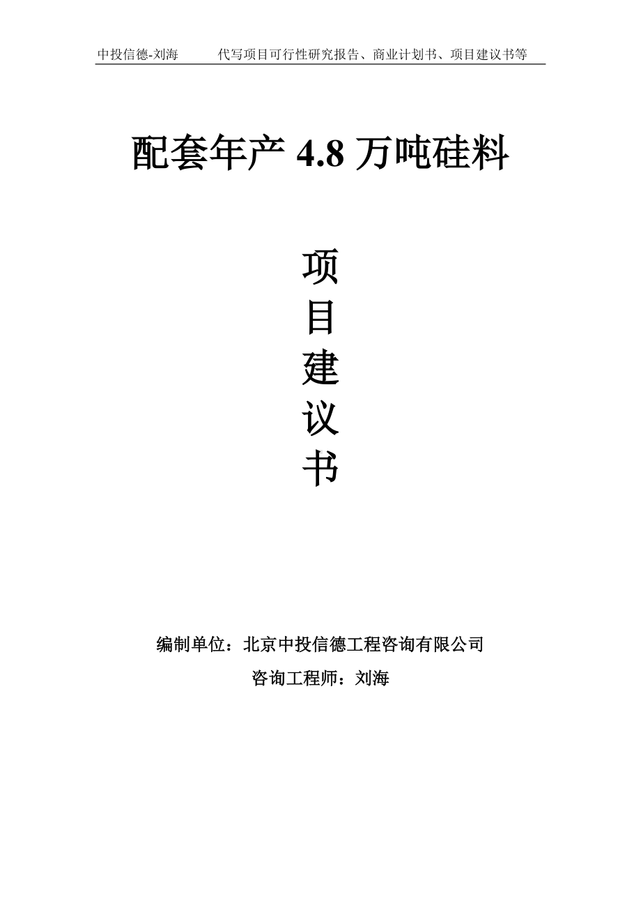 配套年产4.8万吨硅料项目建议书-写作模板.doc_第1页