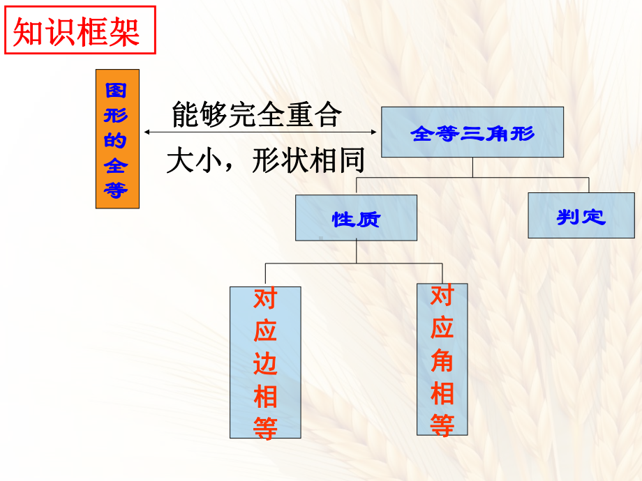 全等三角形及全等三角形中的动态问题(课件.ppt_第2页