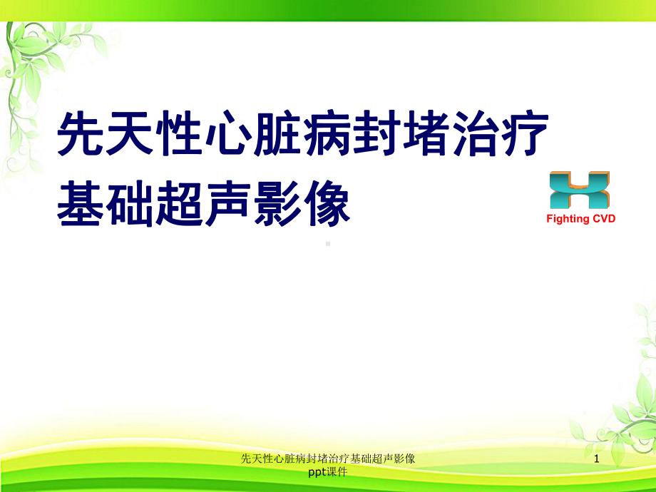 先天性心脏病封堵治疗基础超声影像-课件.ppt_第1页