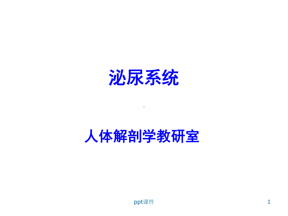 人体解剖学-泌尿系统-课件.ppt_第1页