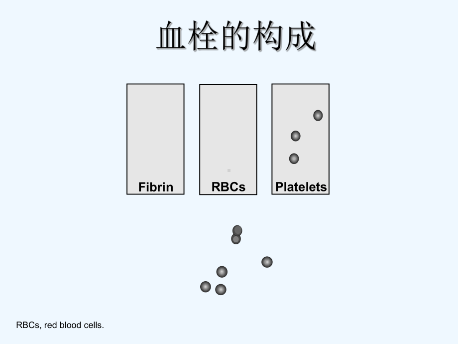 冠心病患者抗血小板治疗从初级基础到临床讲义课件.ppt_第2页