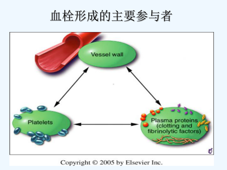 冠心病患者抗血小板治疗从初级基础到临床讲义课件.ppt_第3页