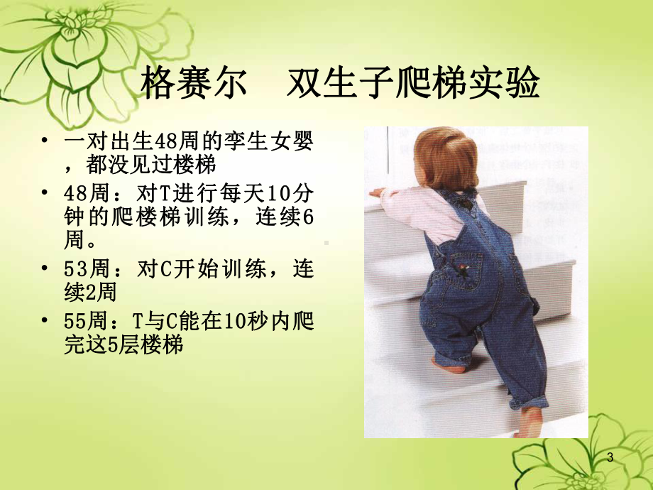 儿童心理学的基本理论课件.ppt_第3页