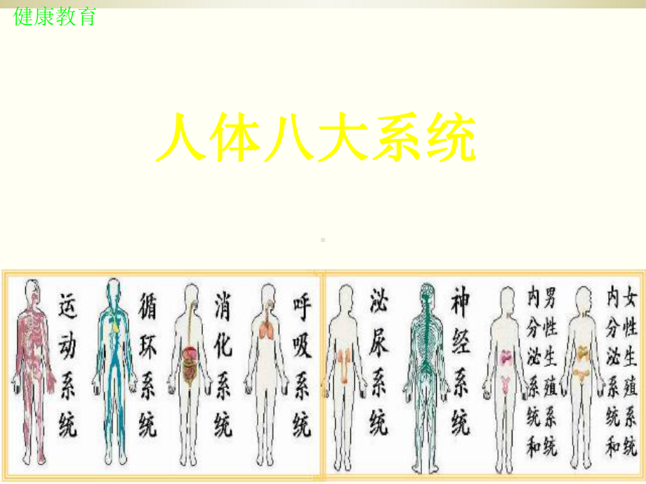 人体八大系统完整版本课件.ppt_第2页