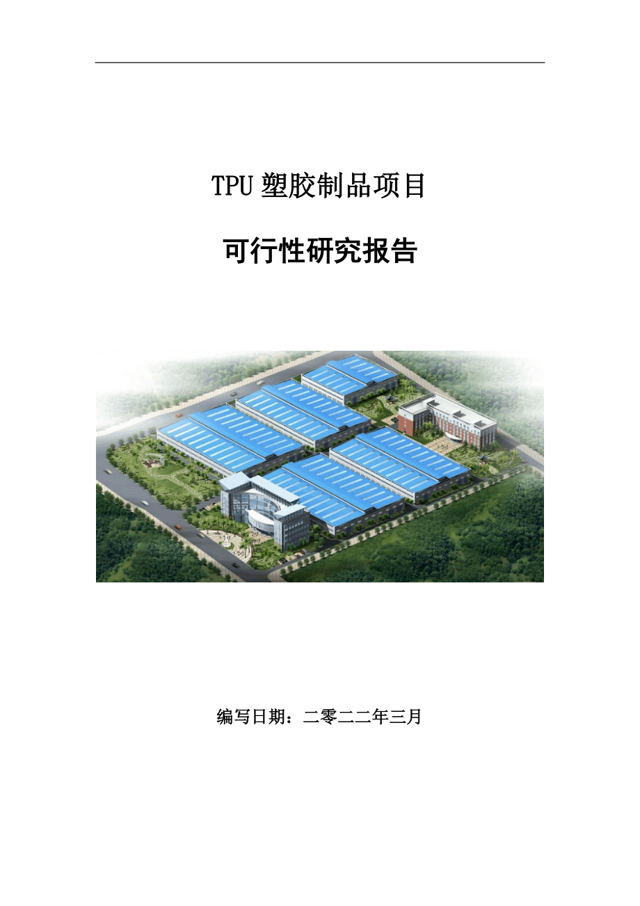 TPU塑胶制品项目可行性研究报告范文.doc_第1页