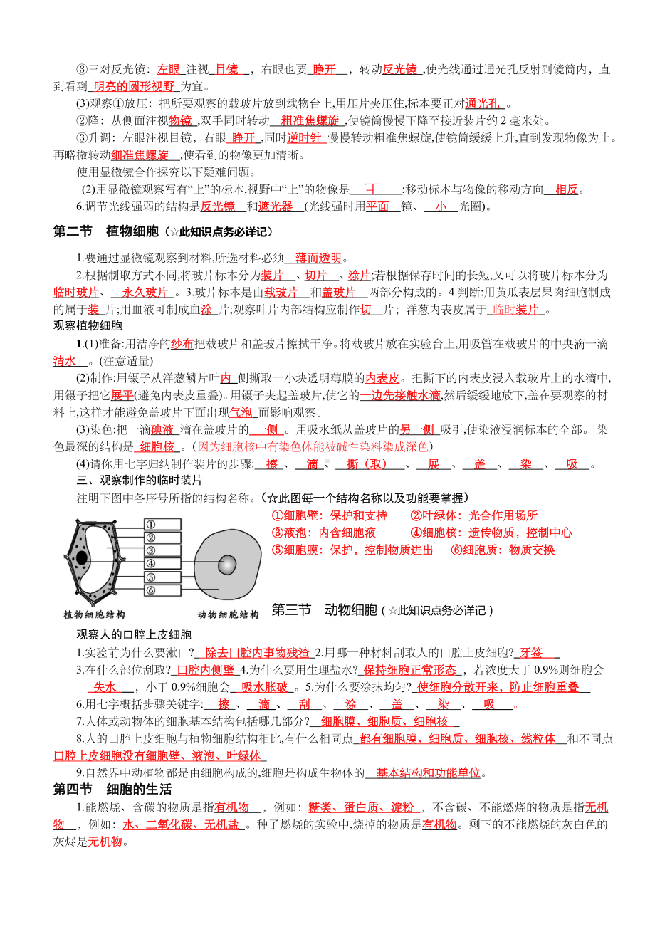 七年级生物所有知识点答案.doc_第3页