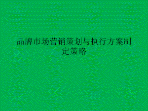 品牌市场营销策划与执行方案制定策略课件.ppt