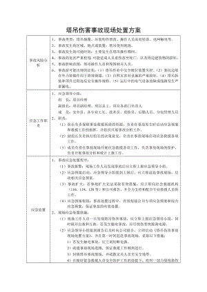 塔吊伤害事故现场处置方案参考模板范本.docx