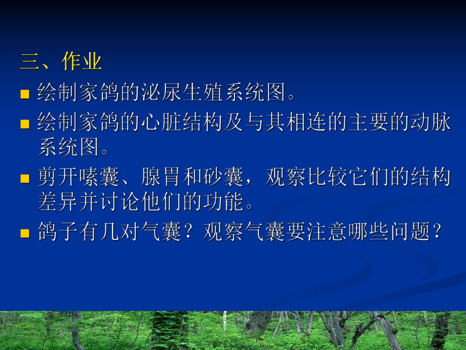 实验5鸽子的解剖课件.ppt_第3页