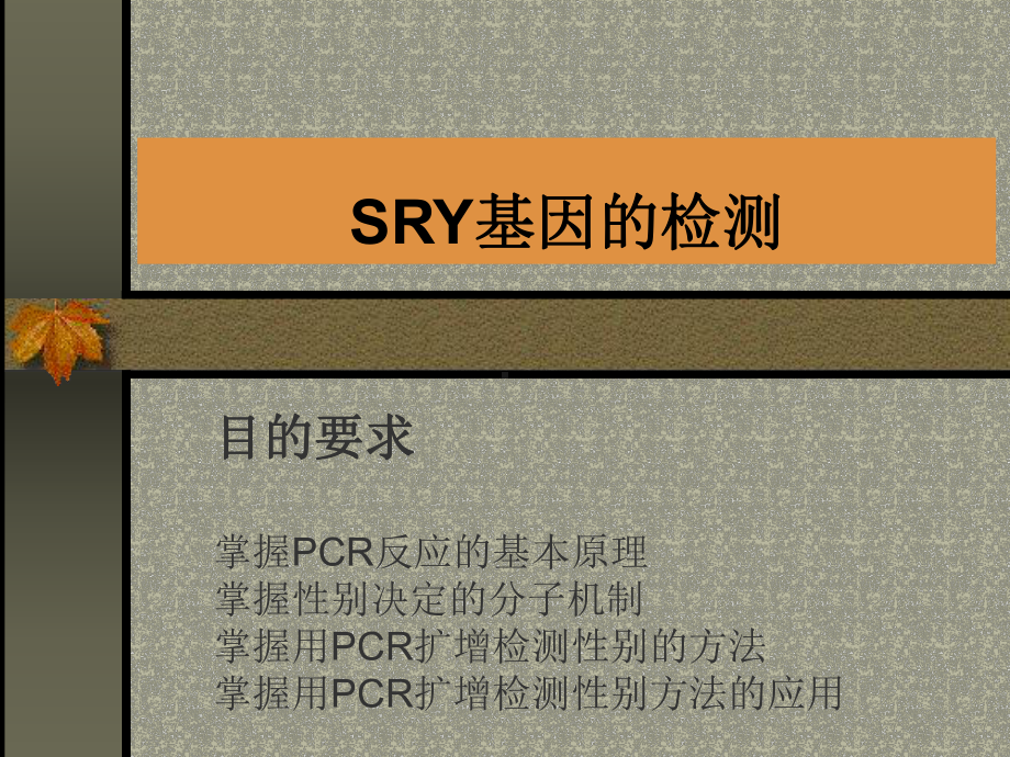 SRY基因的检测参考模板范本.ppt_第1页