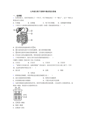 七年级生物下册期中测试卷及答案.doc