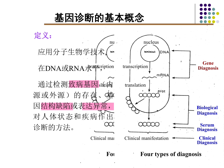 在基因水平诊断疾病课件.ppt_第2页