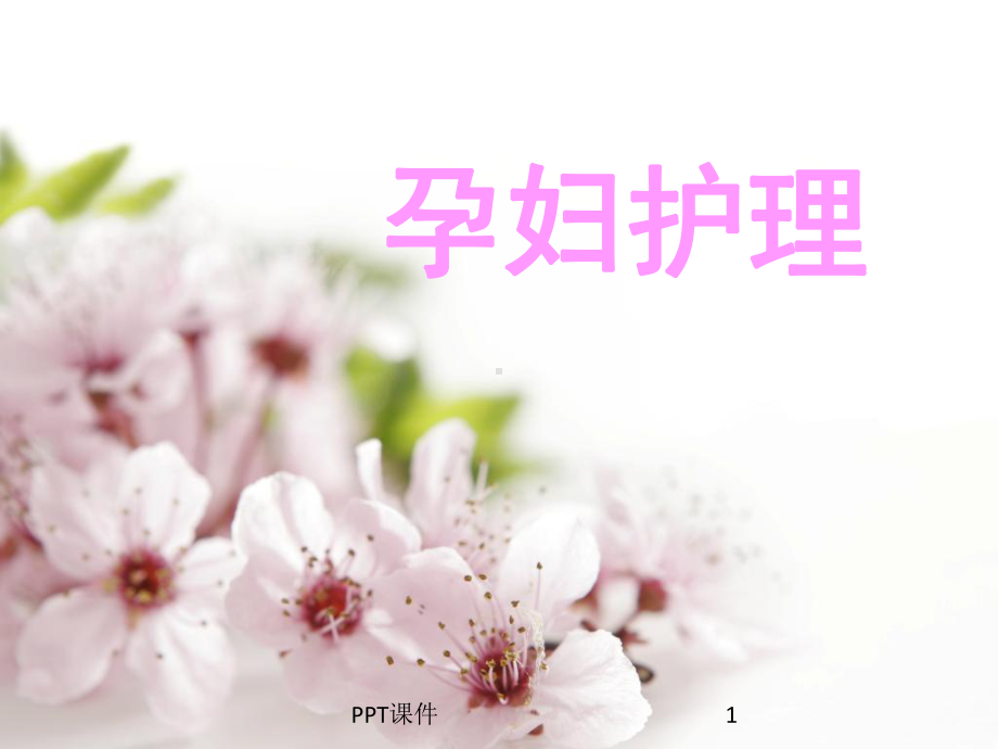 孕妇护理-课件.ppt_第1页