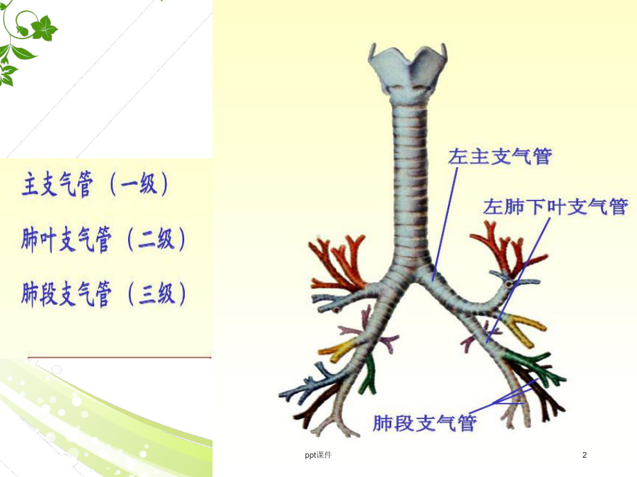 周围型肺癌-课件.ppt_第2页