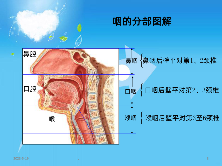 咽科患者术前术后护理课件.ppt_第3页