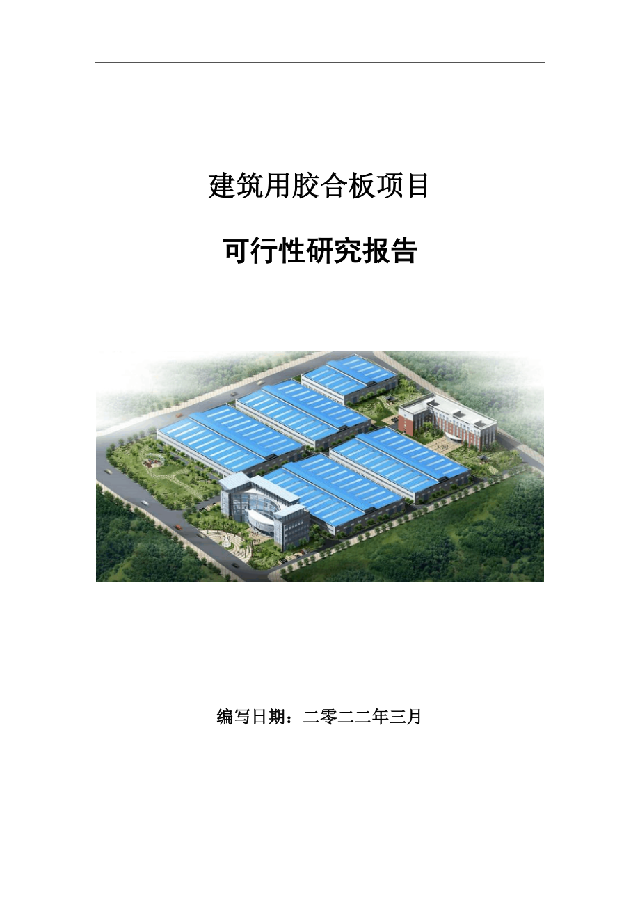 建筑用胶合板项目可行性研究报告范文.doc_第1页