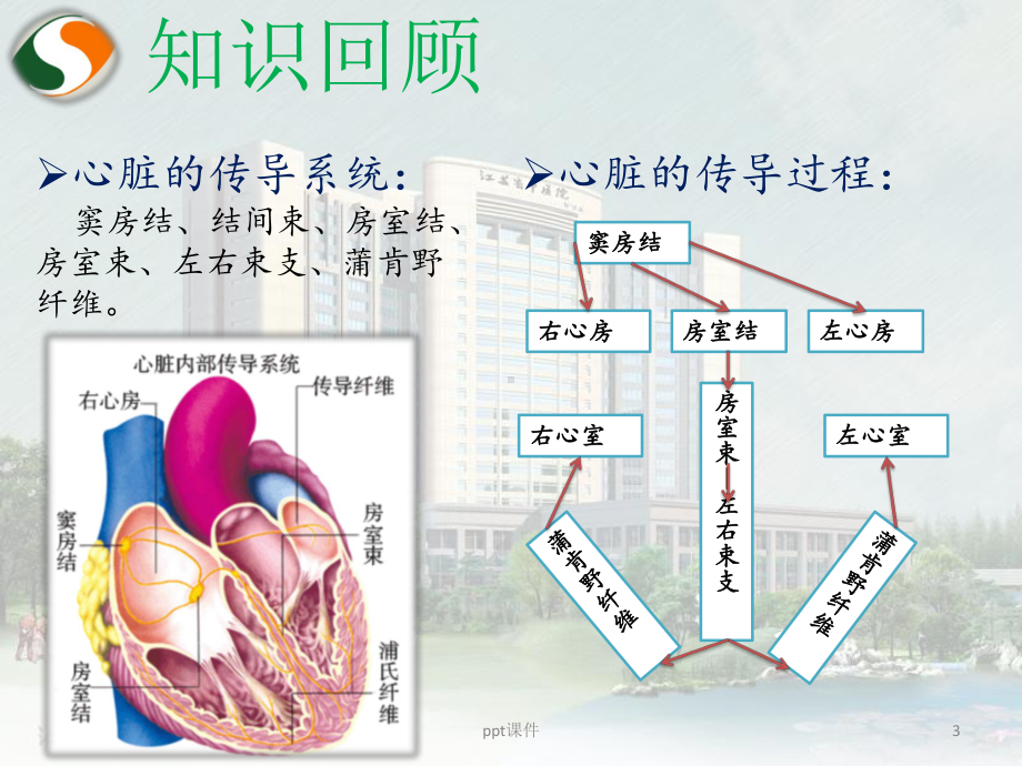 室上速护理查房-课件.ppt_第3页