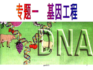 基因工程基本工具-课件.ppt