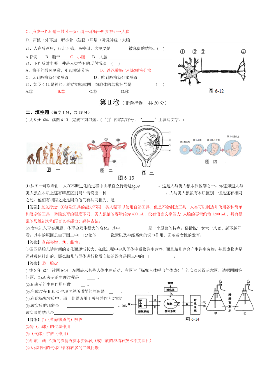 七年级下册生物期末测试题含答案.doc_第3页