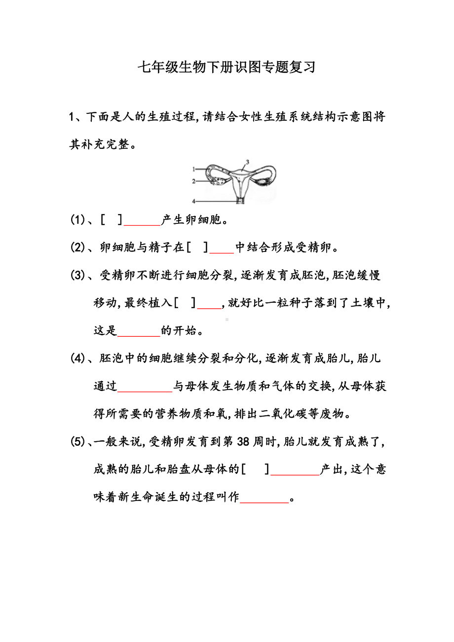 七年级生物下册识图专题复习.doc_第1页