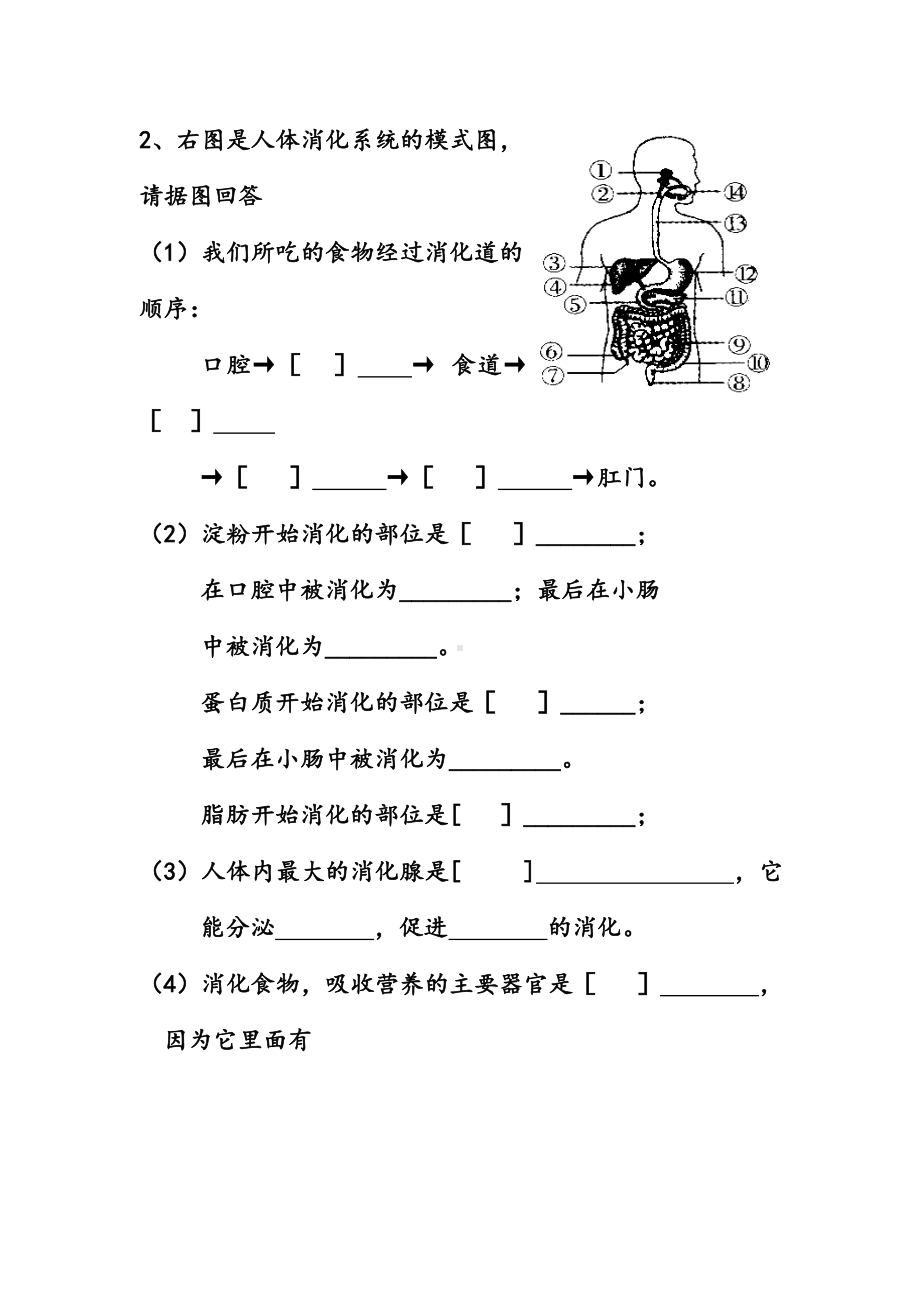 七年级生物下册识图专题复习.doc_第2页