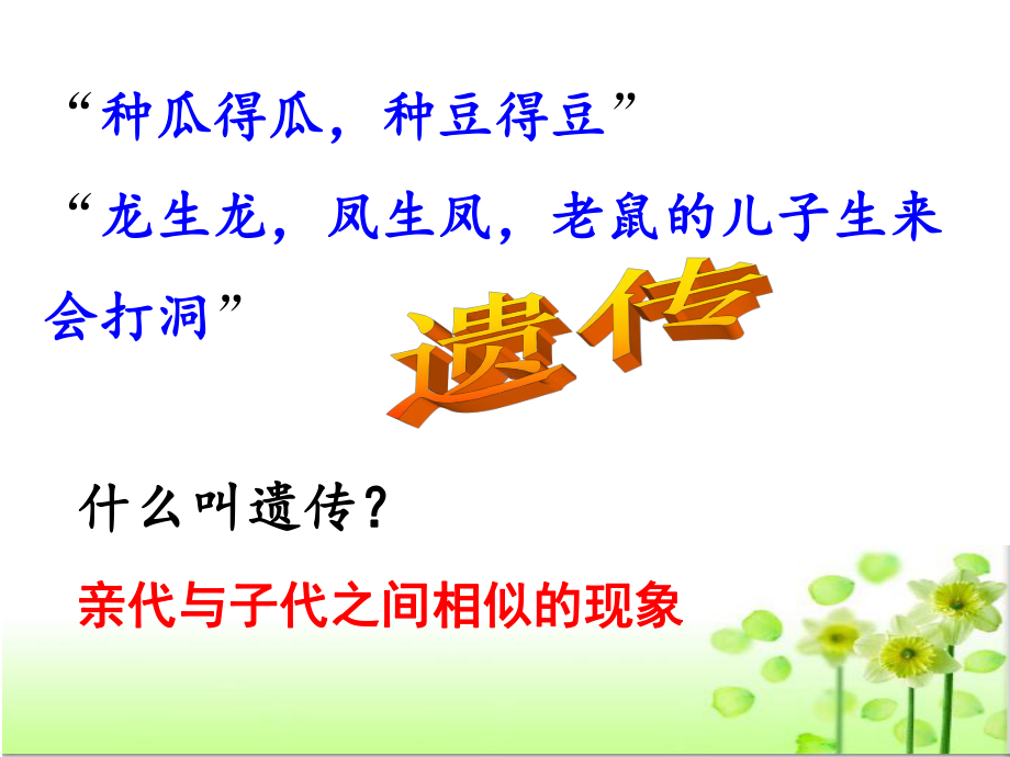 孟德尔遗传实验(一)课件.ppt_第2页