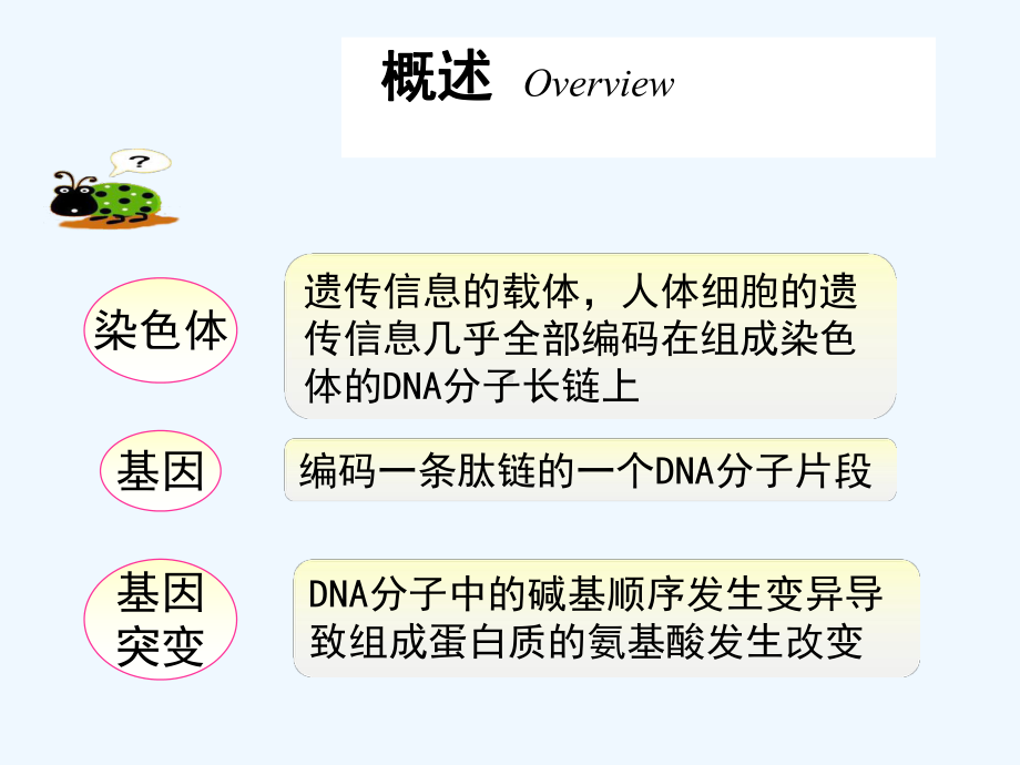 唐氏综合征-课件.ppt_第2页