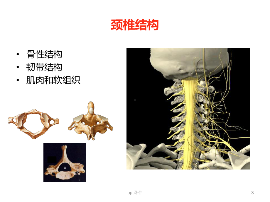 如何预防颈椎病-课件.ppt_第3页