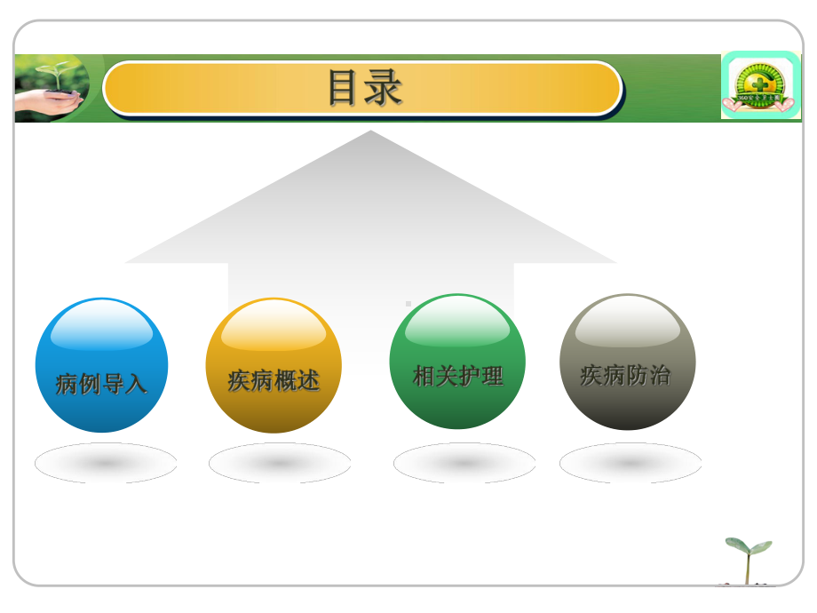 失禁性皮炎教学查房课件.ppt_第2页