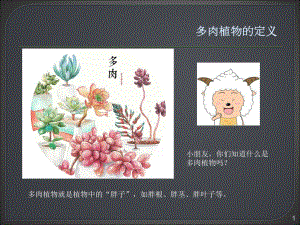 多肉植物幼儿园课件.ppt