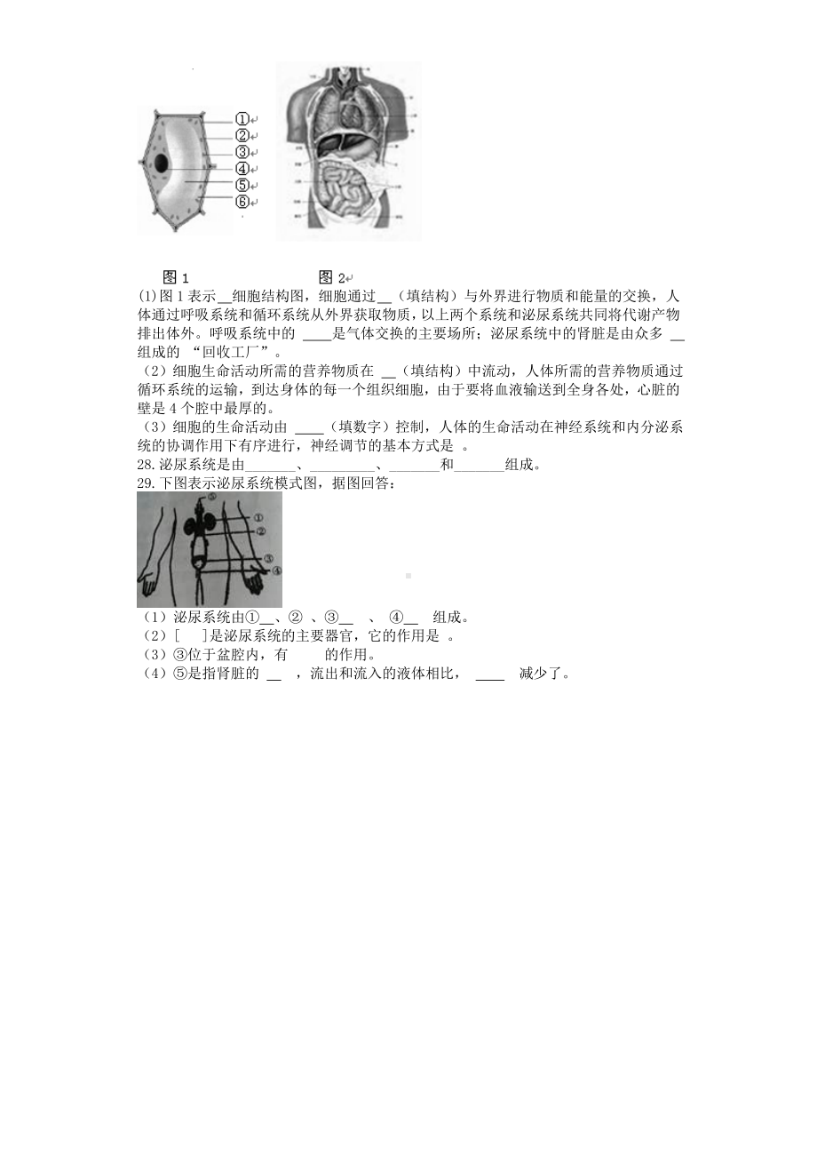 七年级生物下册第4单元第11章人体内的废物排入环境单元测试题新版苏教版.doc_第3页