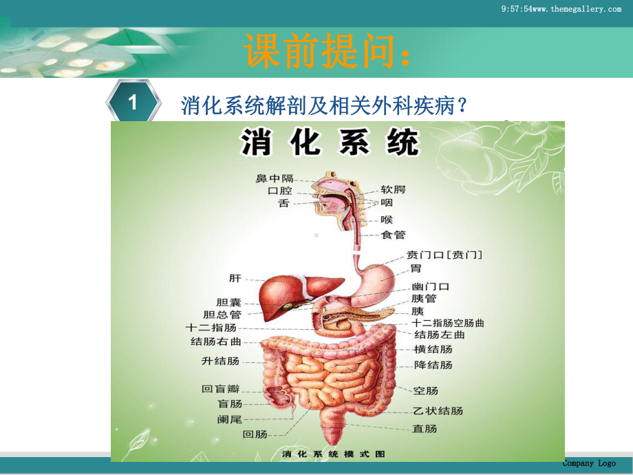 外科痔疮病人的护理刘宏佳教学课件.ppt_第2页