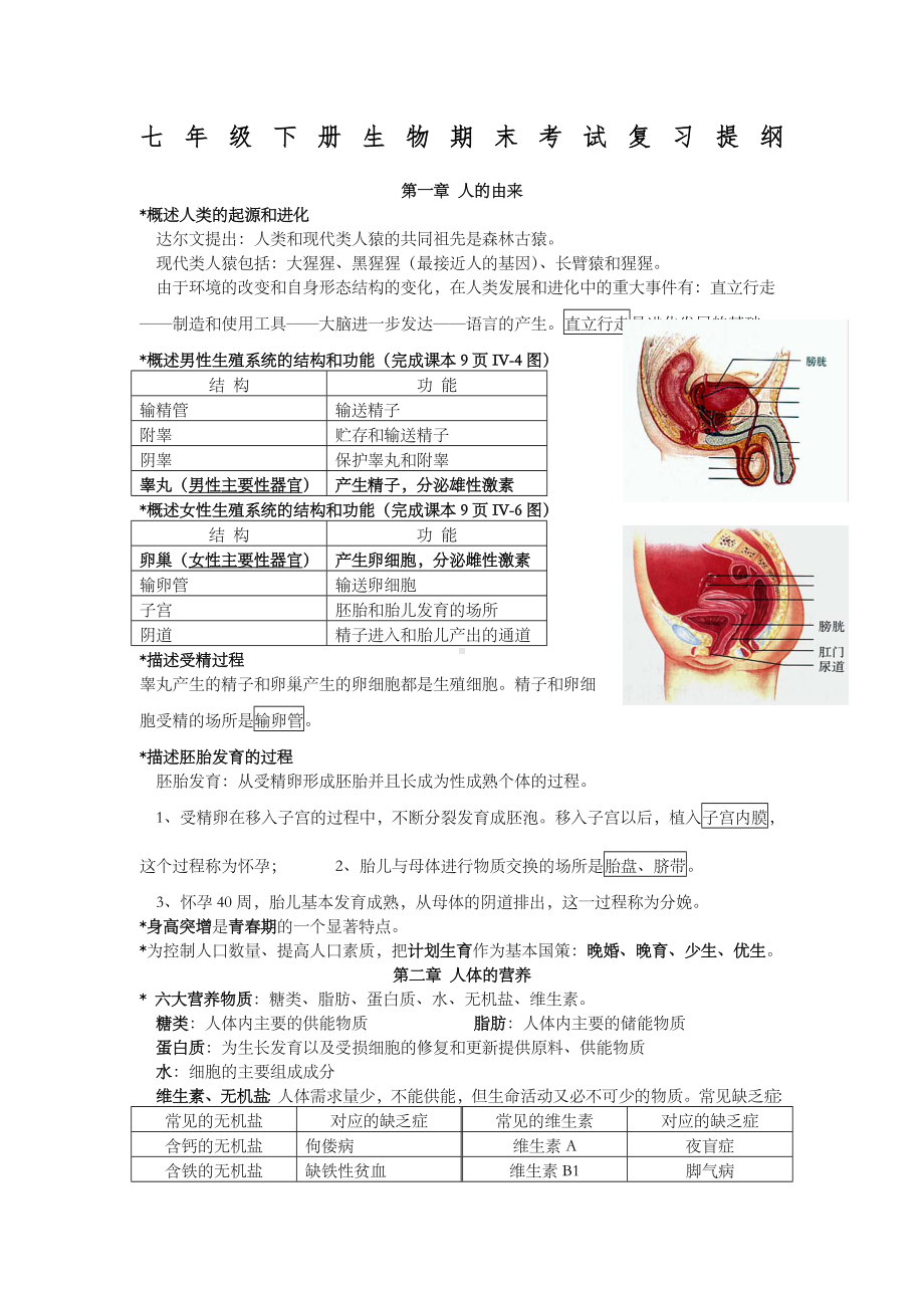 七年级生物下册期末复习提纲.doc_第1页