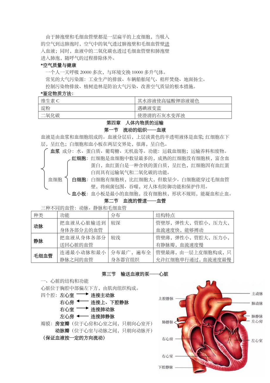 七年级生物下册期末复习提纲.doc_第3页