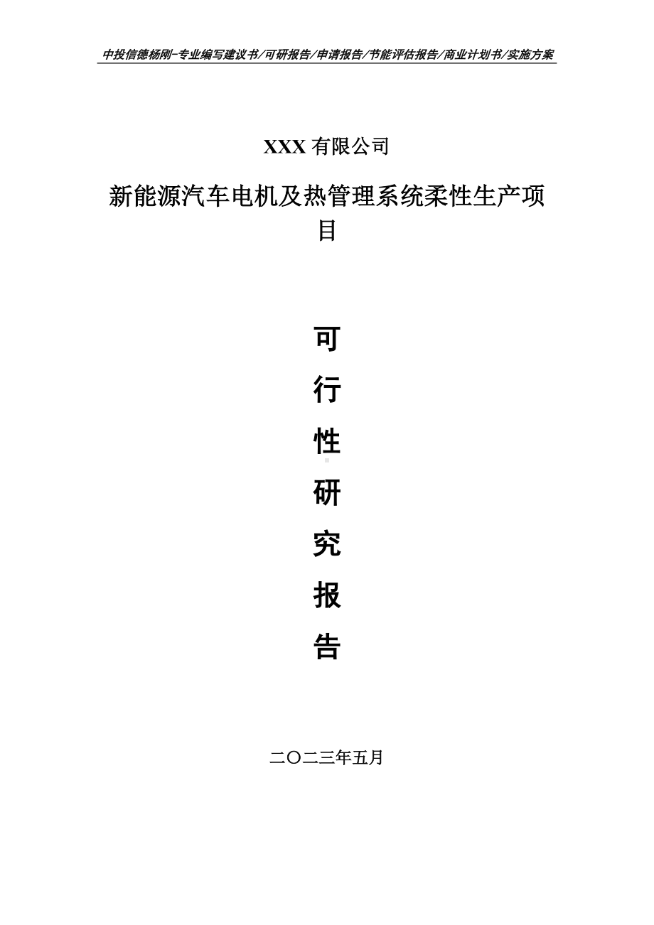 新能源汽车电机及热管理系统柔性可行性研究报告申请备案.doc_第1页