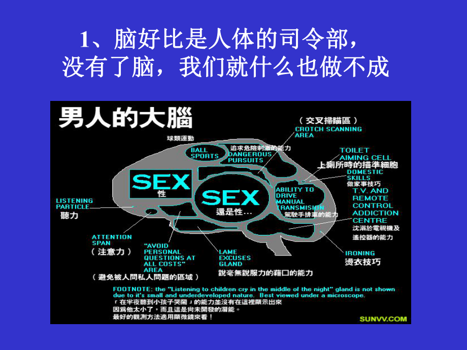 头疗套组修正案-资料课件.ppt_第2页