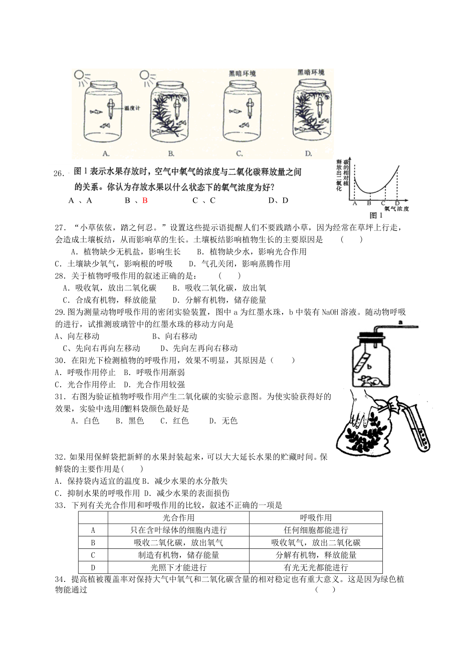 七年级生物上册-第二单元-第一章生物圈中的绿色植-章节测试-济南版.doc_第3页