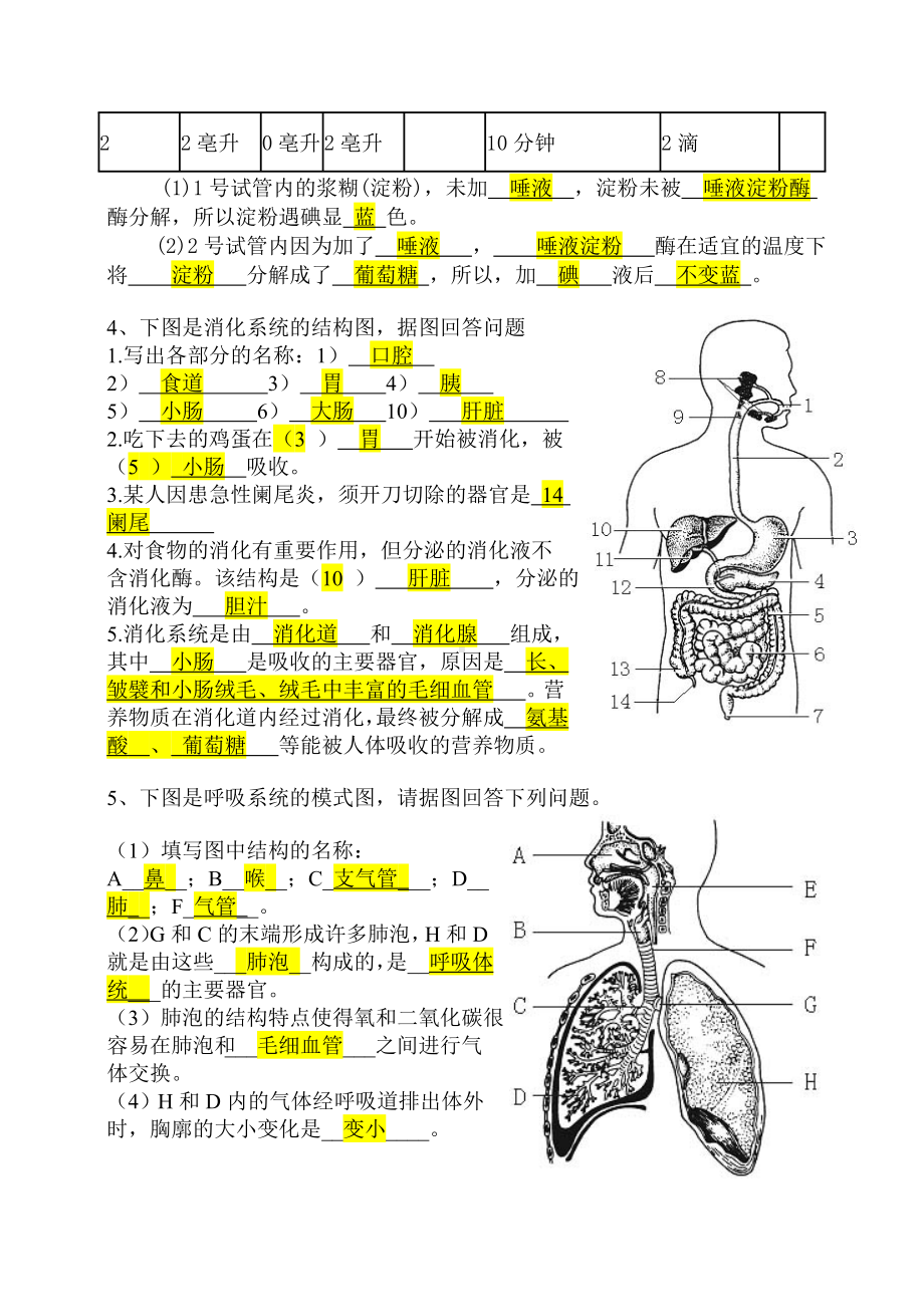 七年级下册生物识图题答案.doc_第2页