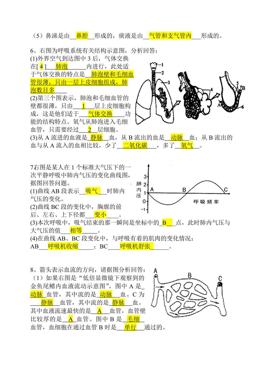 七年级下册生物识图题答案.doc_第3页