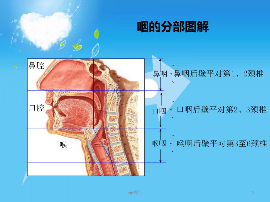 咽科患者术前术后护理-课件.ppt_第3页